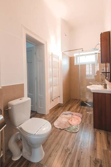 Фото номера Люкс Гостевой дом Guesthouse Casa Baciu г. Сибиу 7