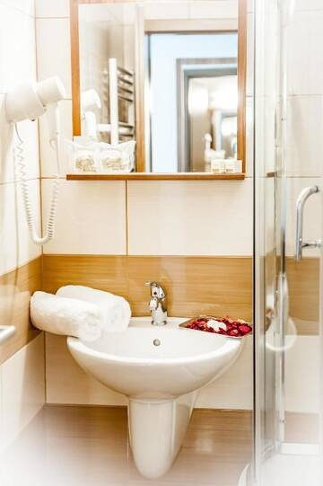 Фото номера Двухместный номер с 1 кроватью Отель Hotel Class Hermannstadt г. Сибиу 9